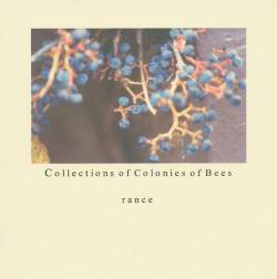 Collections Of Colonies Of Bees : Rance